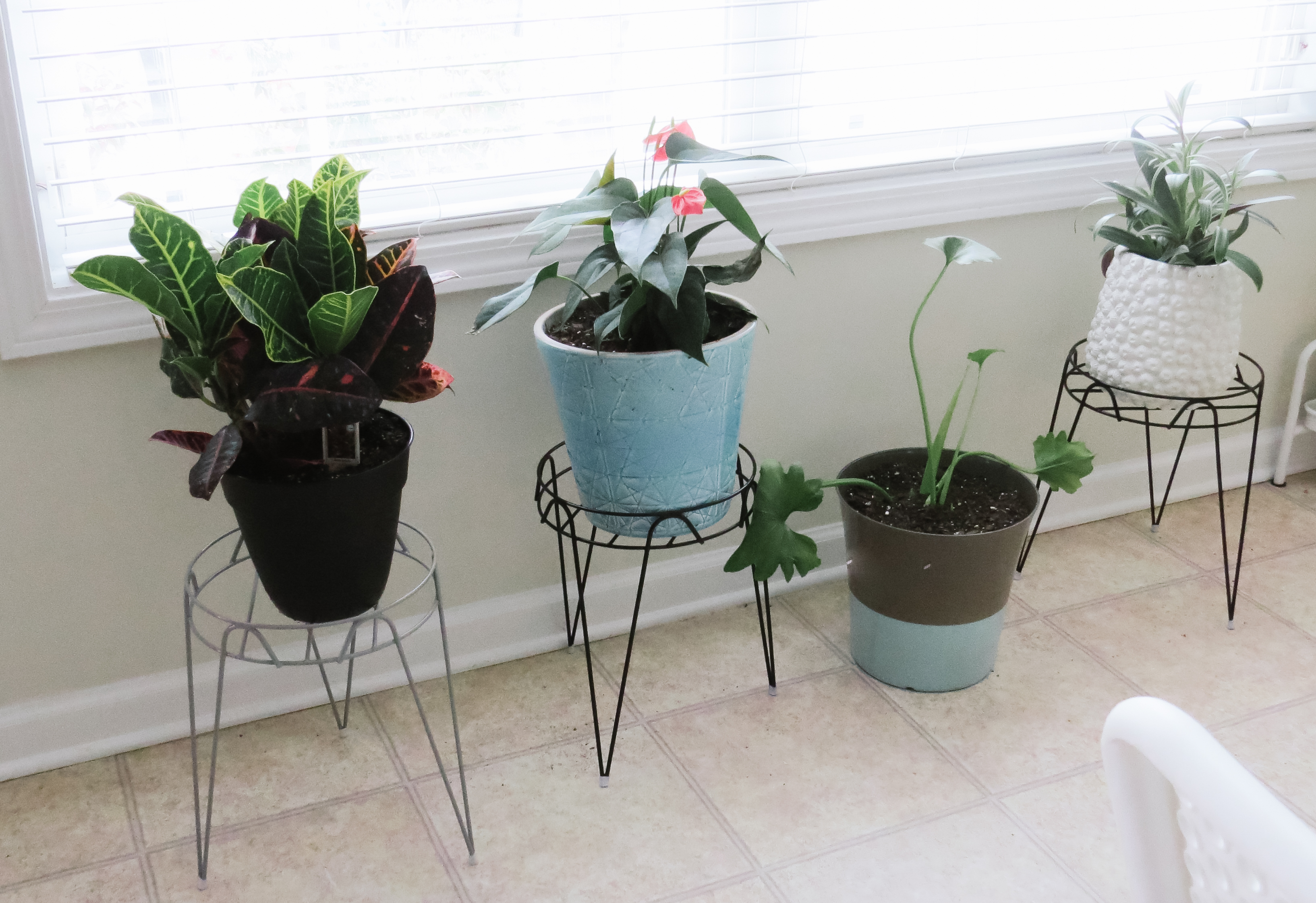 pottedplants