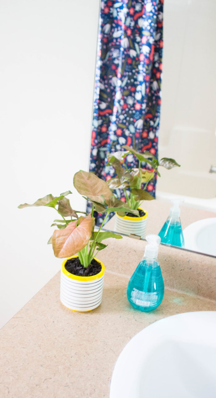 Guest bathroom rental-friendly refresh