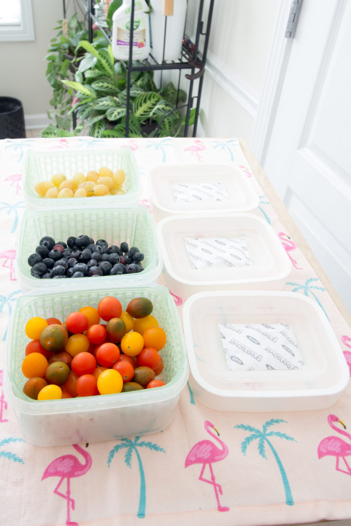 SIMPLE REFRIGERATOR ORGANIZATION