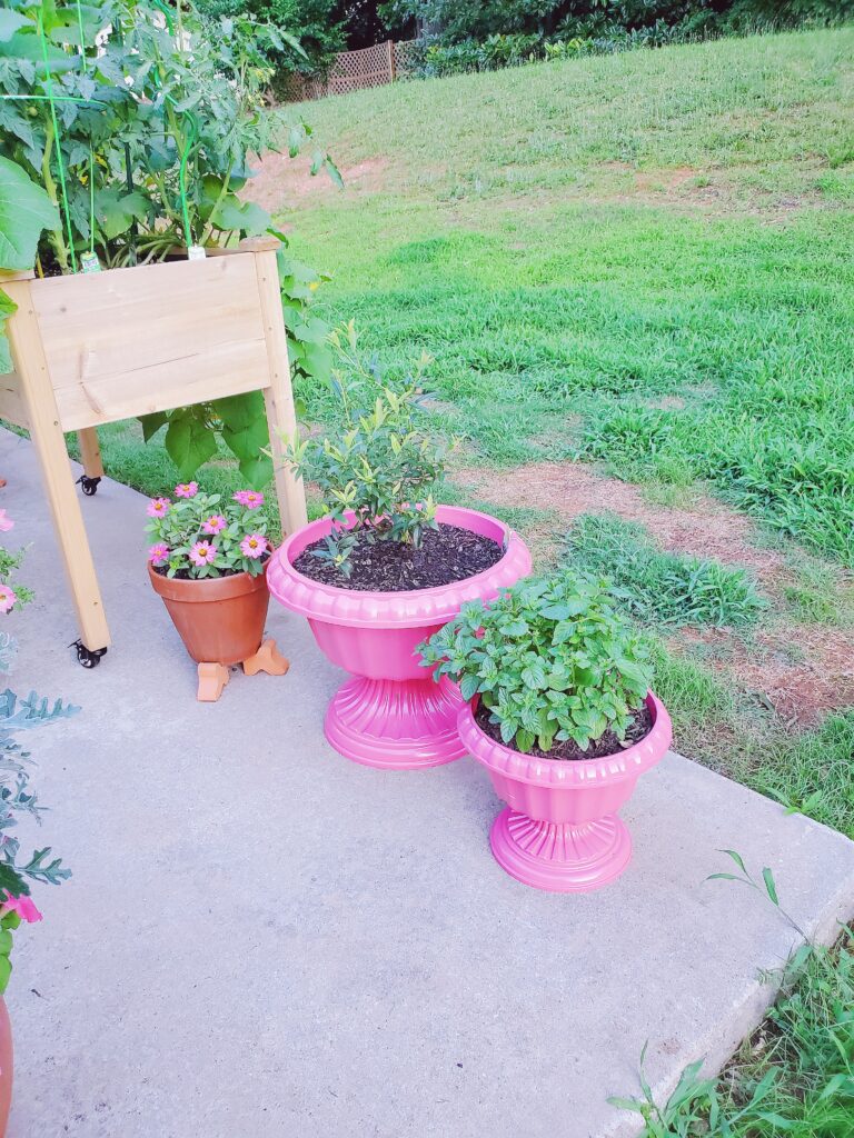 pink planters pots